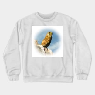 Kestrel Crewneck Sweatshirt